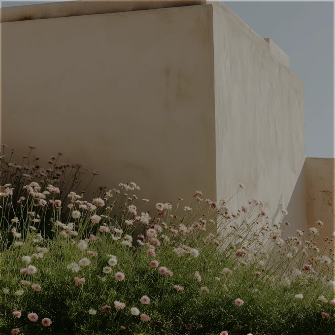 sb1