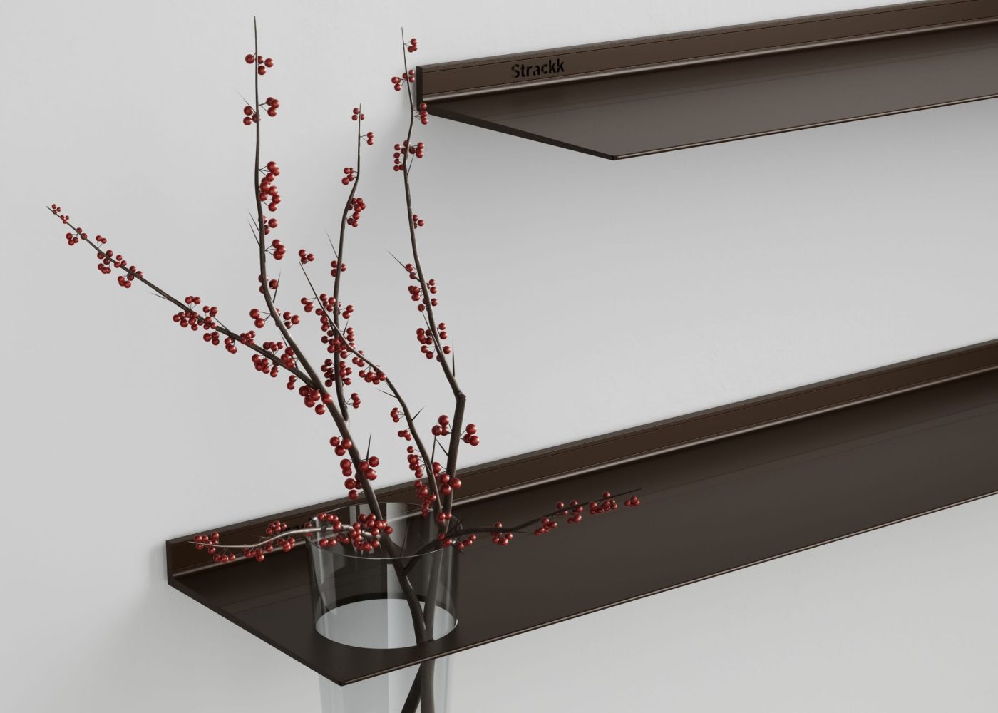 Strackk aluminium shelf, living room interior, kitchen interior, bathroom interior 3D render